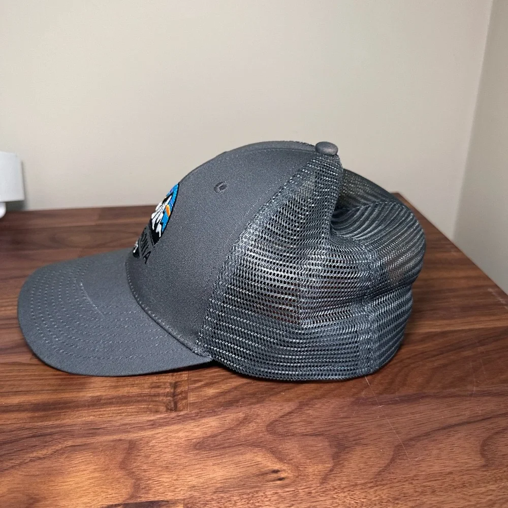 Patagonia Charcoal Cap with Colorful Logo